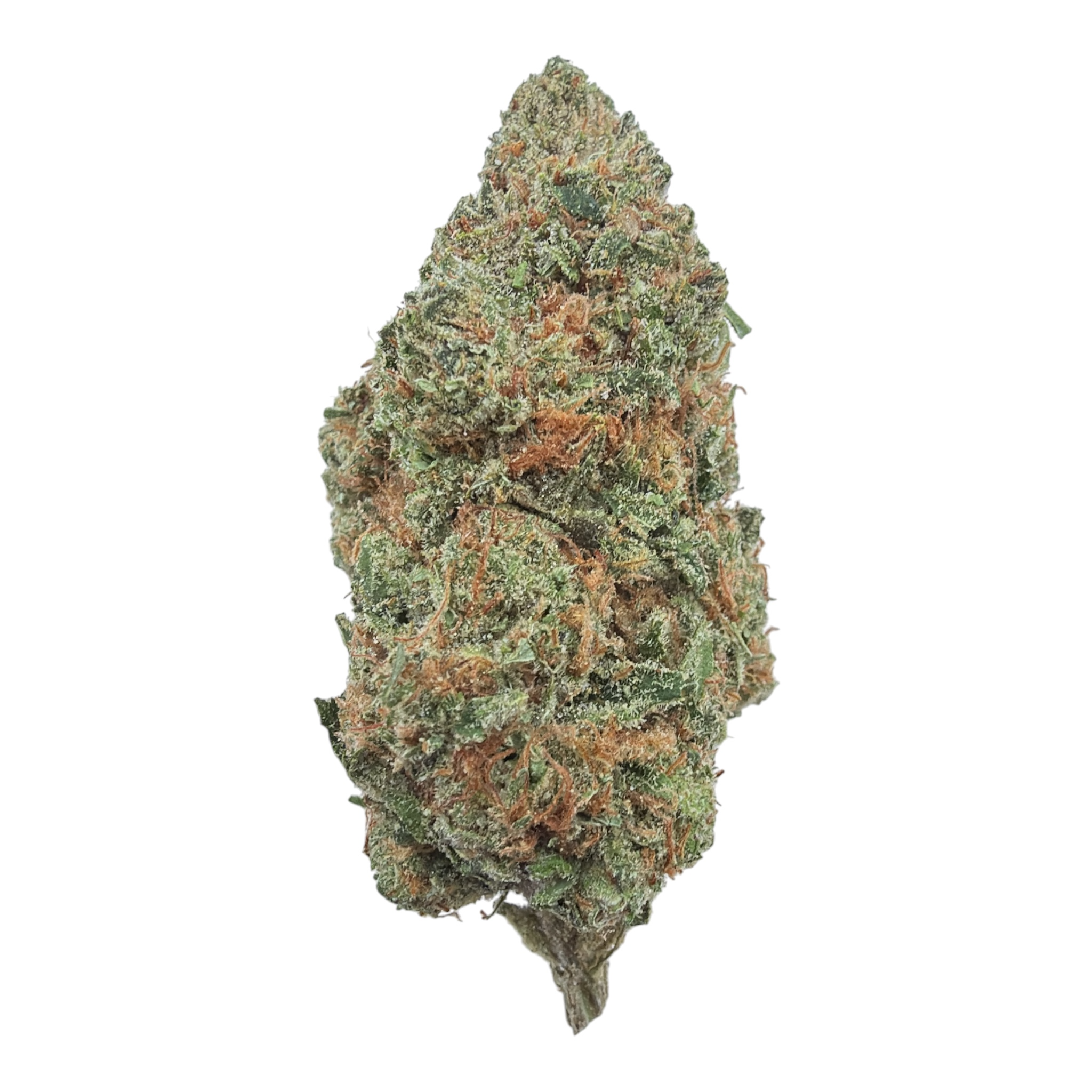 Pipe Dream Indoor THCA flower – isolated frosted full-size nug
