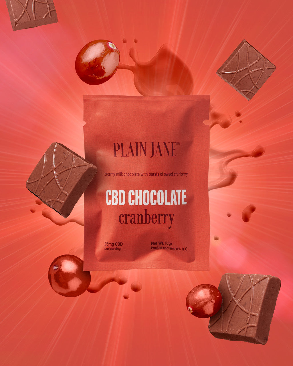 CBD Chocolate Mini - Isolate