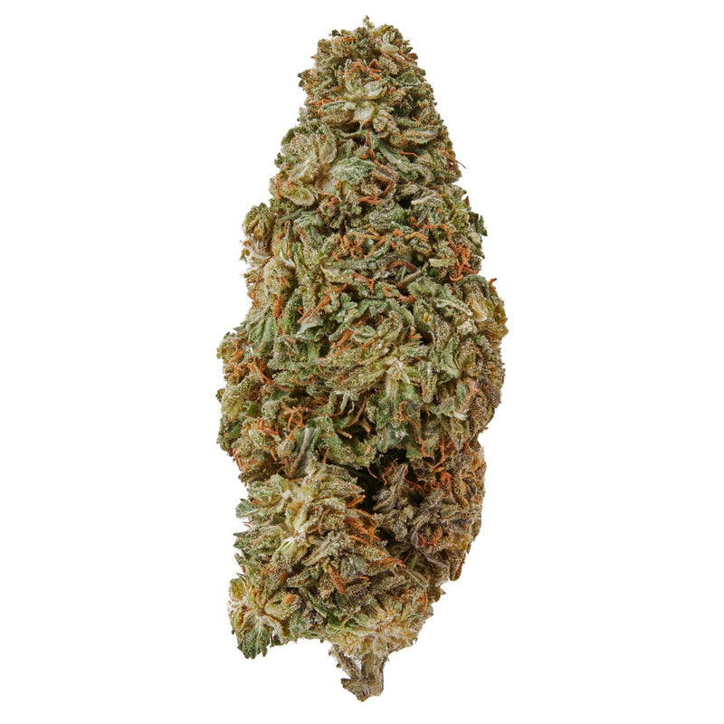 Durban Diesel (indoor) - Image 1
