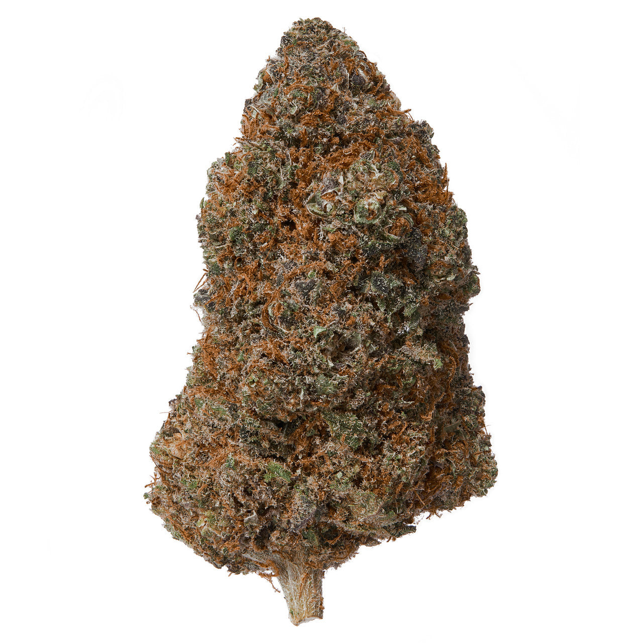 Mango Fire Indoor CBD Flower