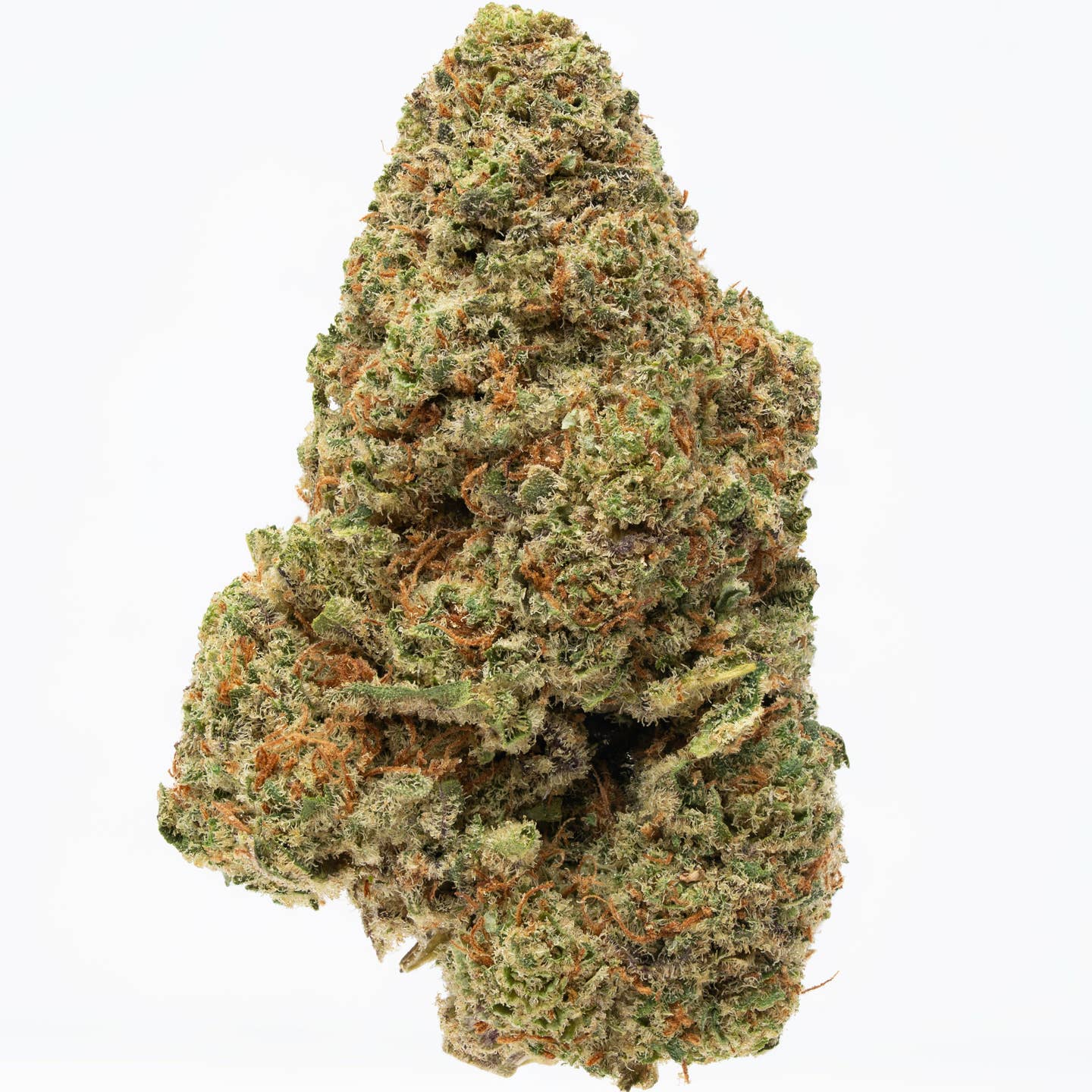 Plain Jane greenhouse Rock Candy Flower