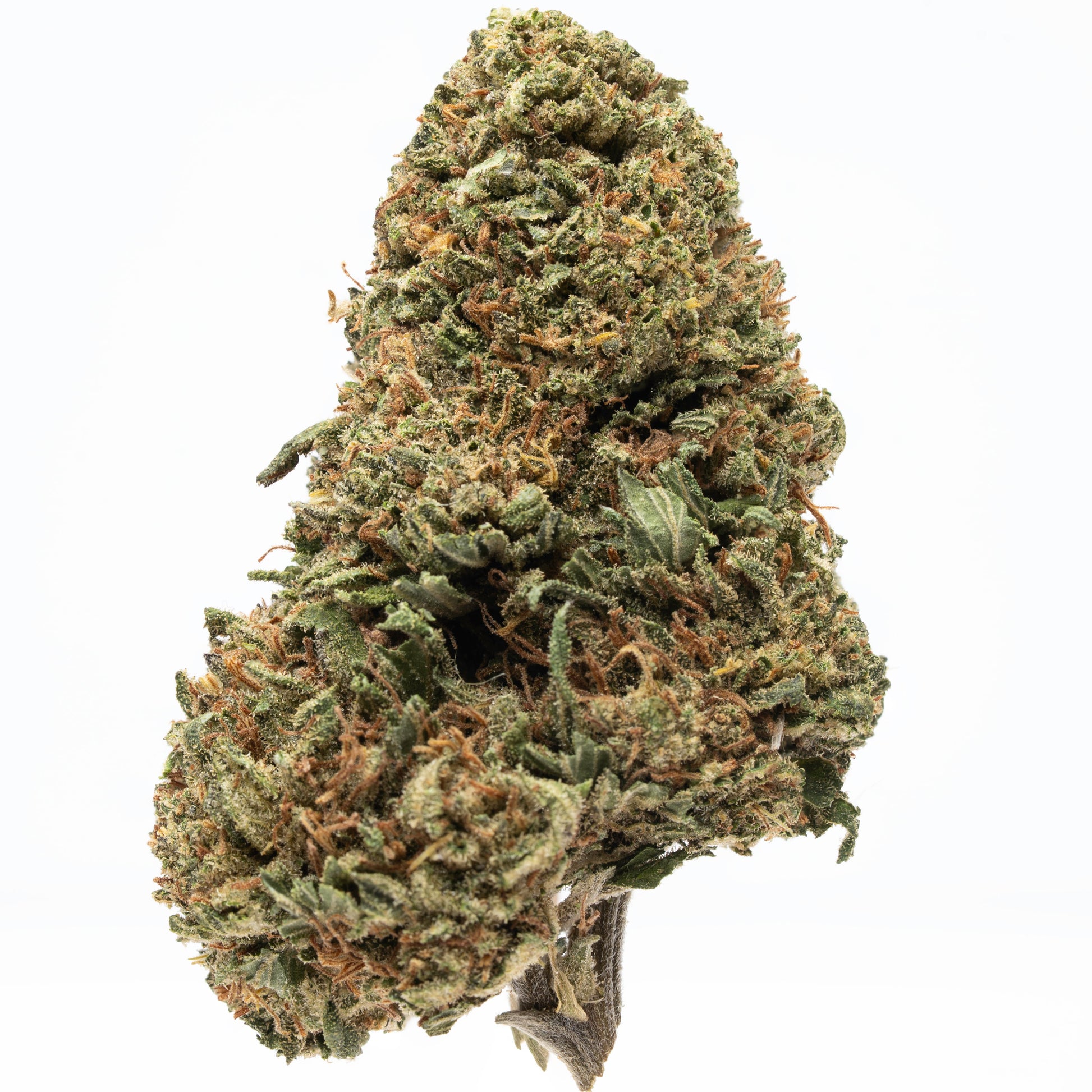 Plain Jane Royal OG Flower