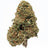 Plain Jane Royal OG Flower