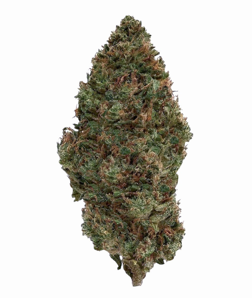 Raspberry Bear Claw