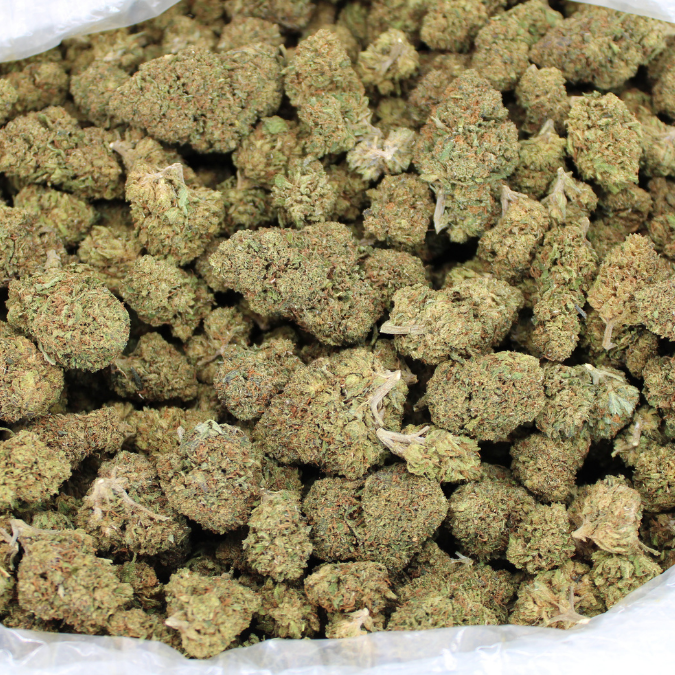 Royal OG CBD flower buds in an open bulk bag