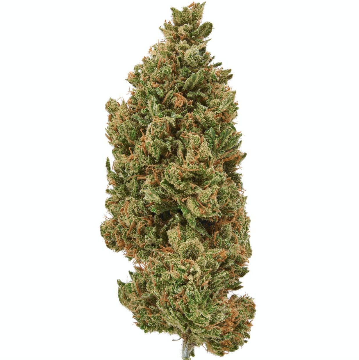 Sour Lifter