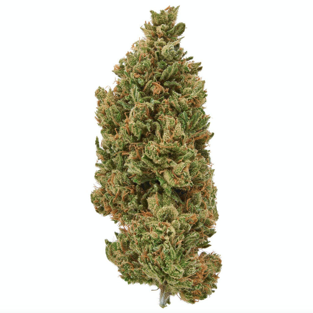 Sour Lifter