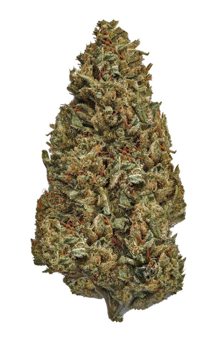 Sour Elektra CBD Flower