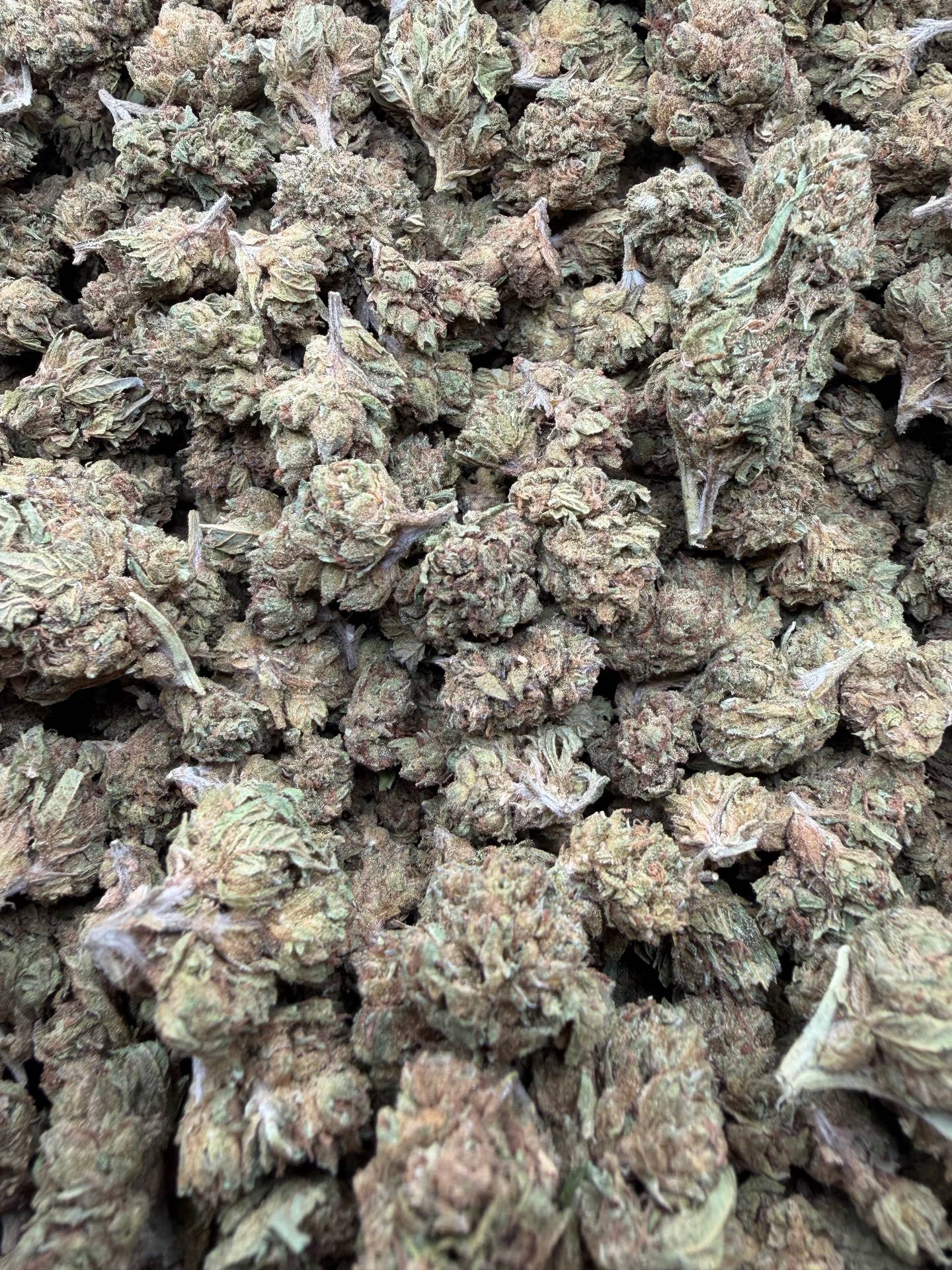 Super Runtz Budget THCA flower — Plain Jane