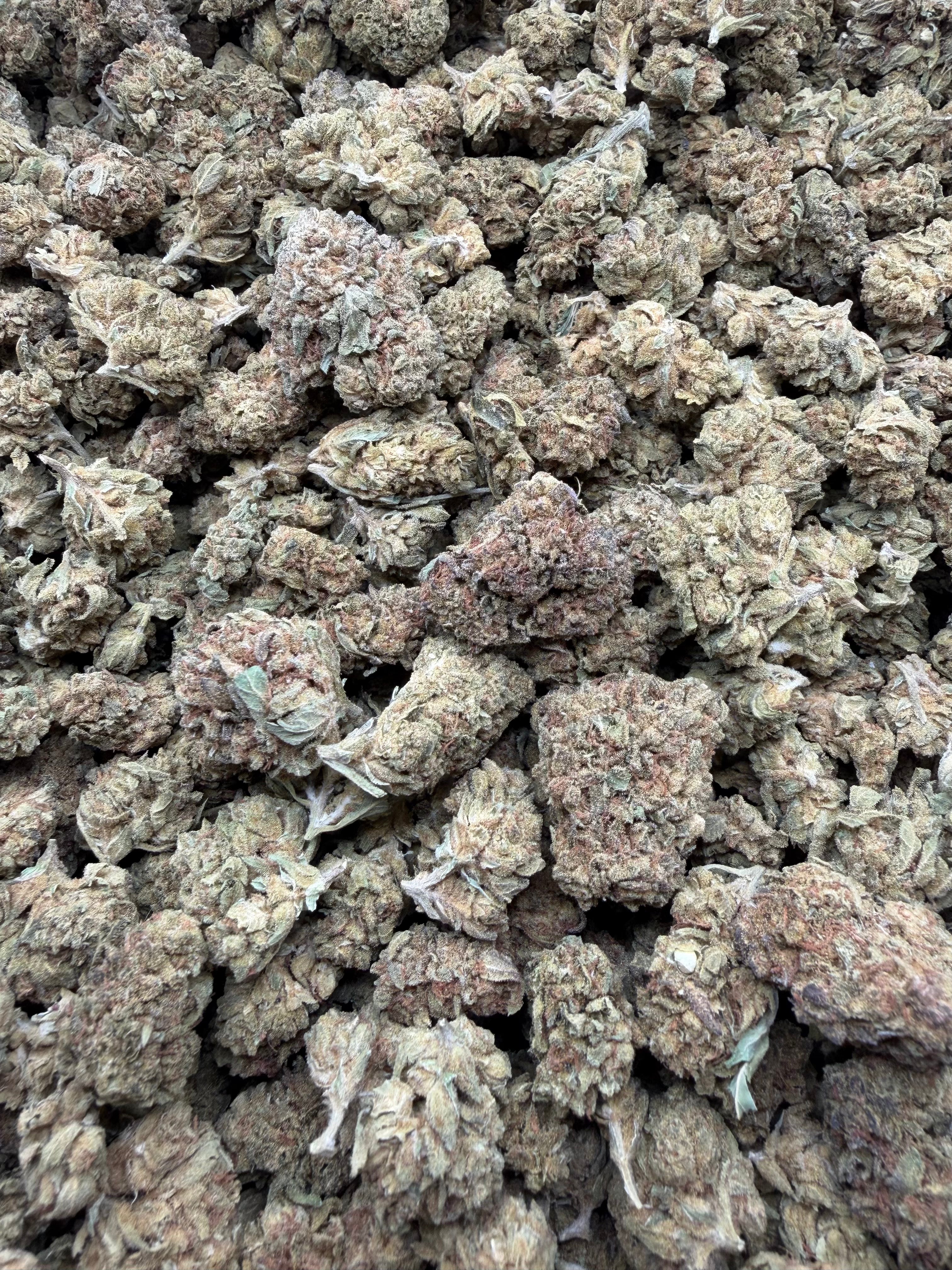 Close-up of Wedding Cake THCA flower buds