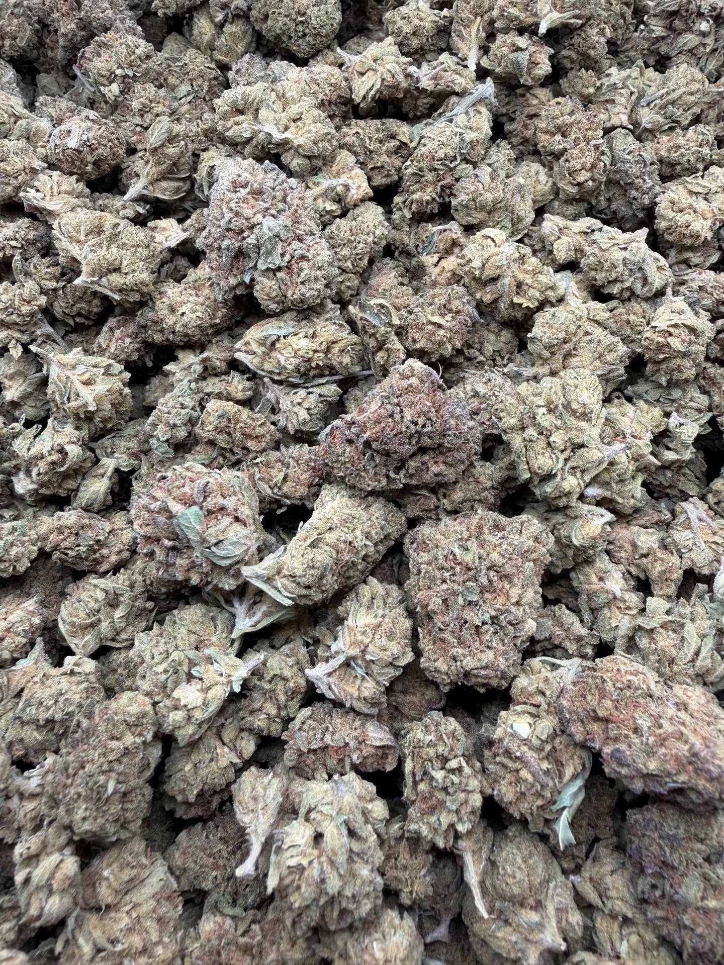 Close-up of Wedding Cake THCA flower buds