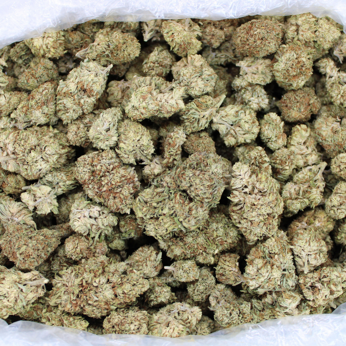 White CBG Hemp flower buds in an open bulk bag