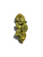 Animal Mintz (Indoor) THCA flower product photo