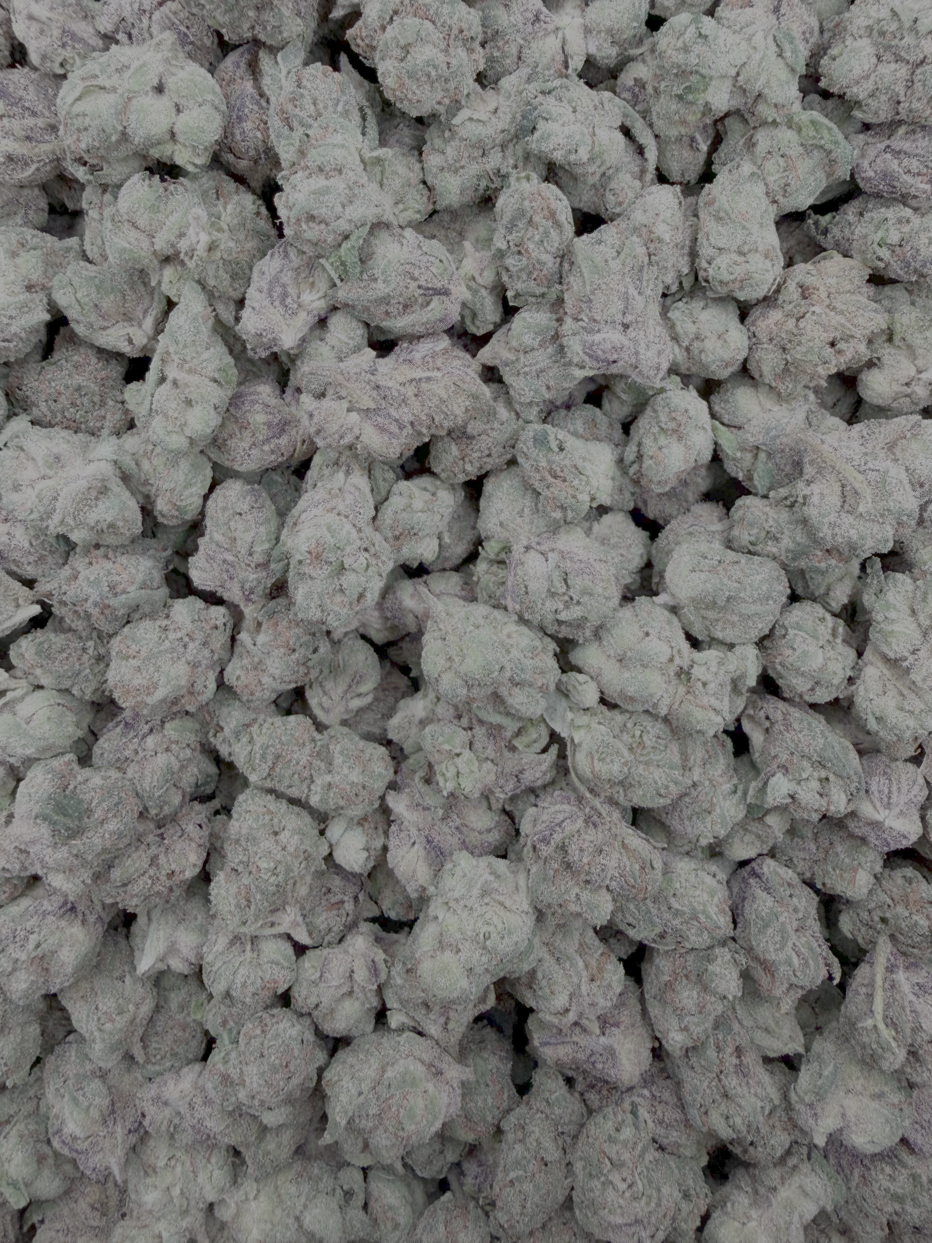 Baja Blasteroid Smalls THCA flower – current full-lot view