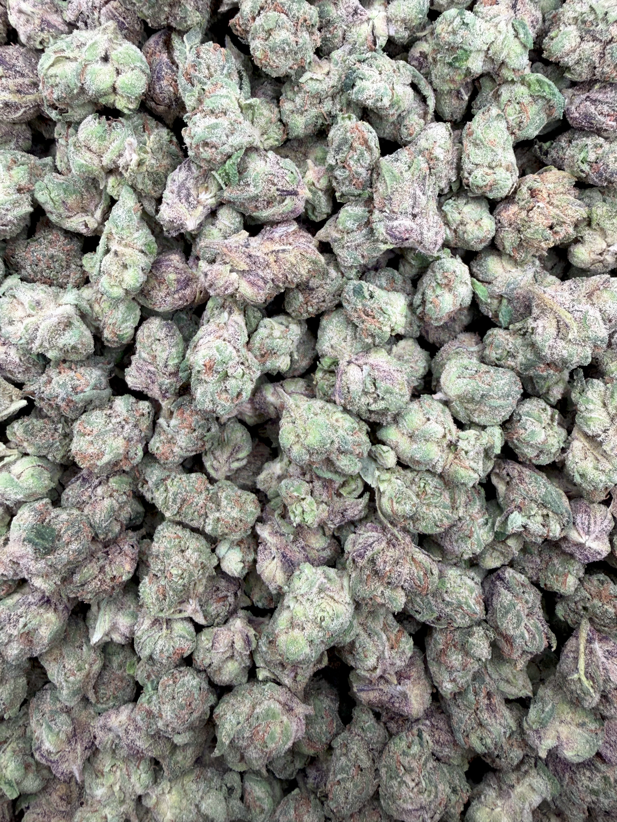 Baja Blasteroid Smalls THCA flower – current full-lot view