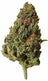 Berry Pie