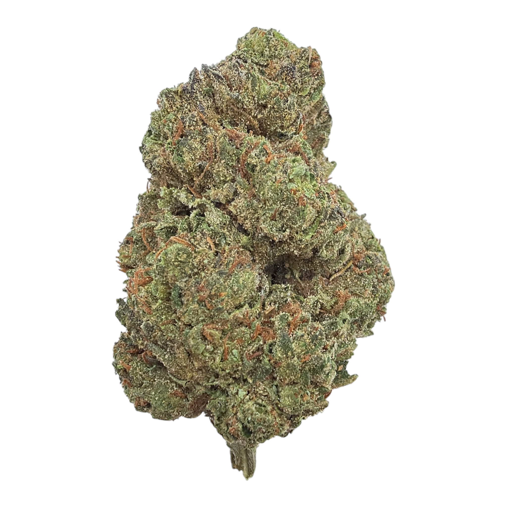 Biscotti Green House THCA Flower