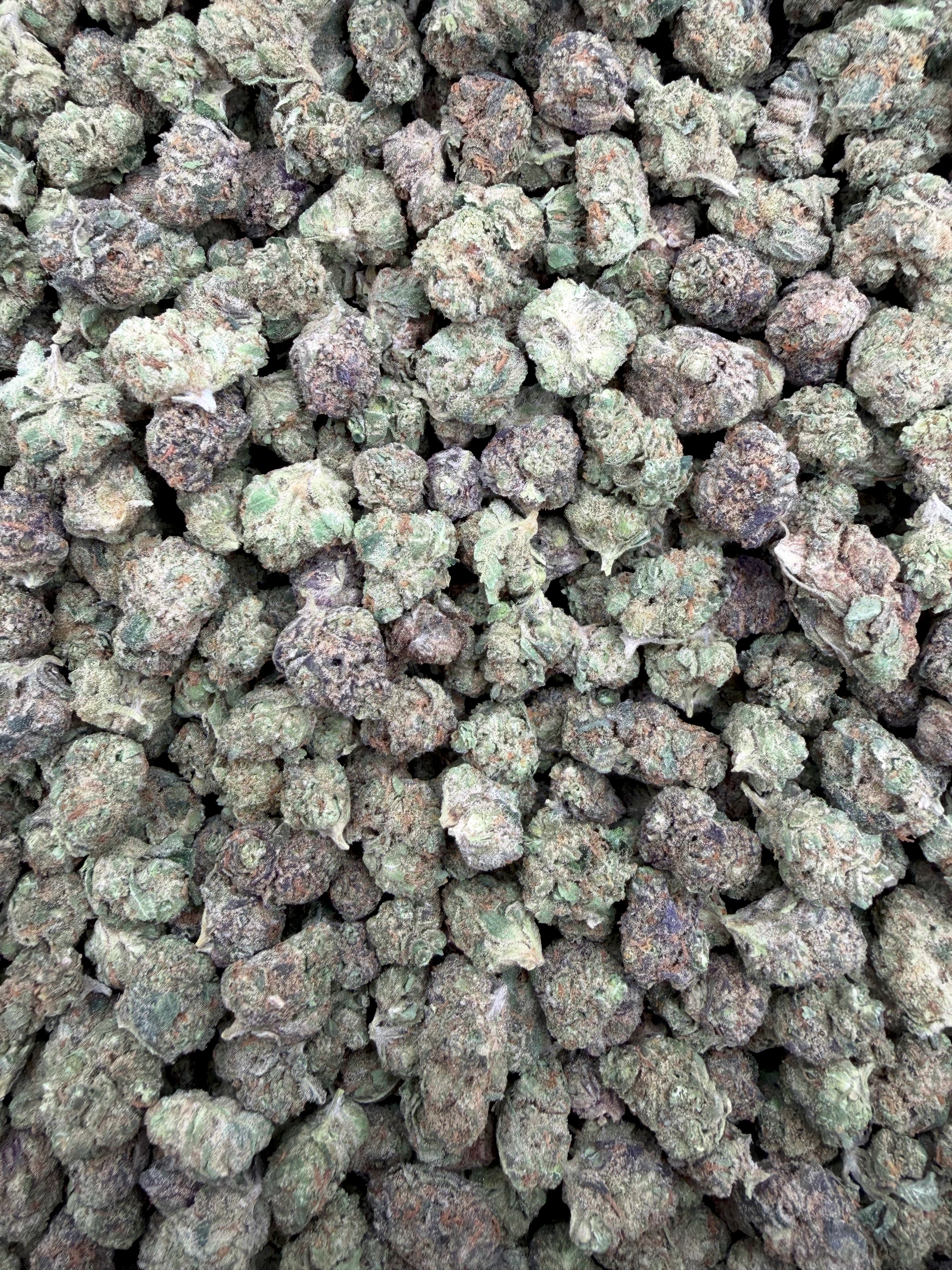 Black Cherry Gelato THCA flower full-frame batch photograph