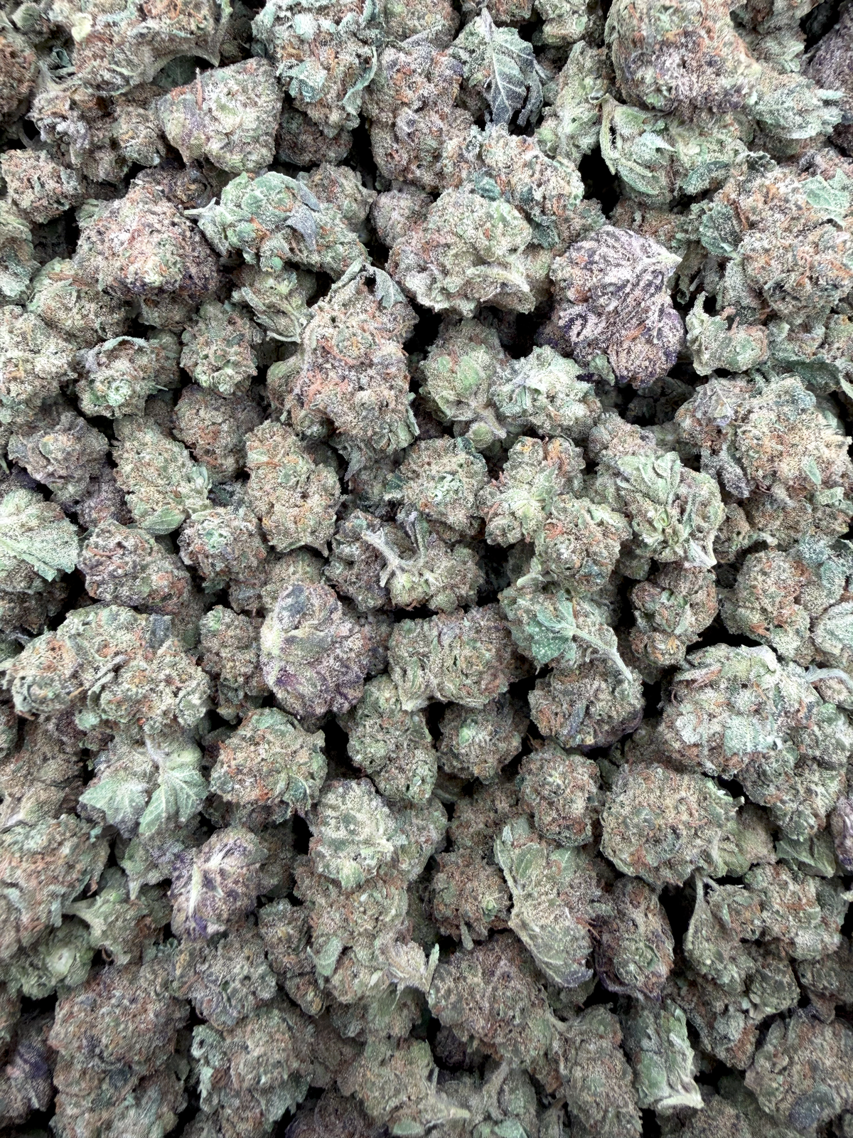 Black Cherry Zoap Smalls THCA flower – current full-lot view