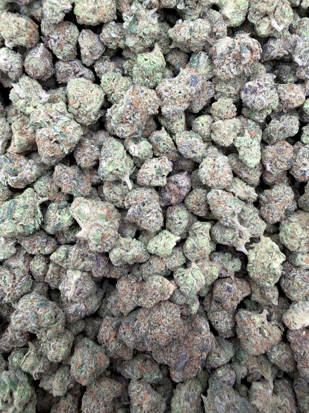 Black Ice Smalls THCA flower - full current-batch lot photo