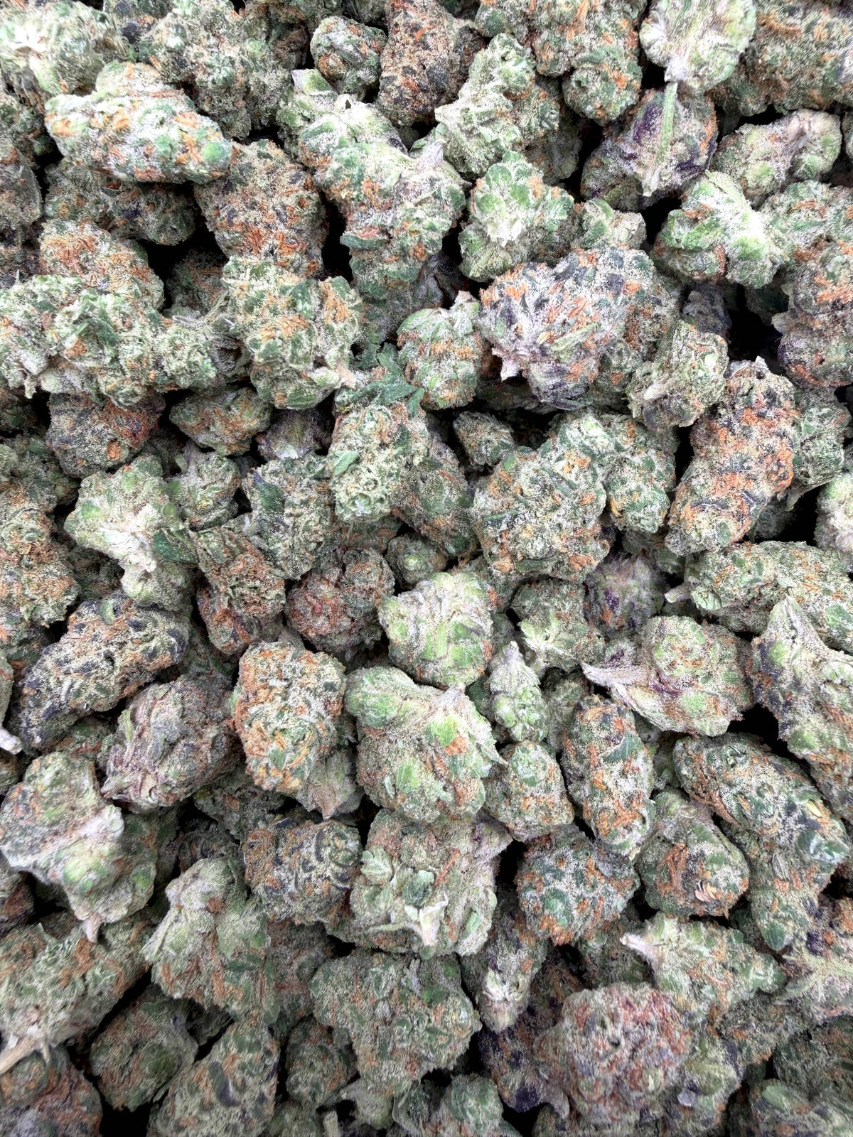 Black Mamba Indoor Smalls THCA flower full current-batch photo
