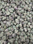 Black Maple indoor THCA smalls batch close-up