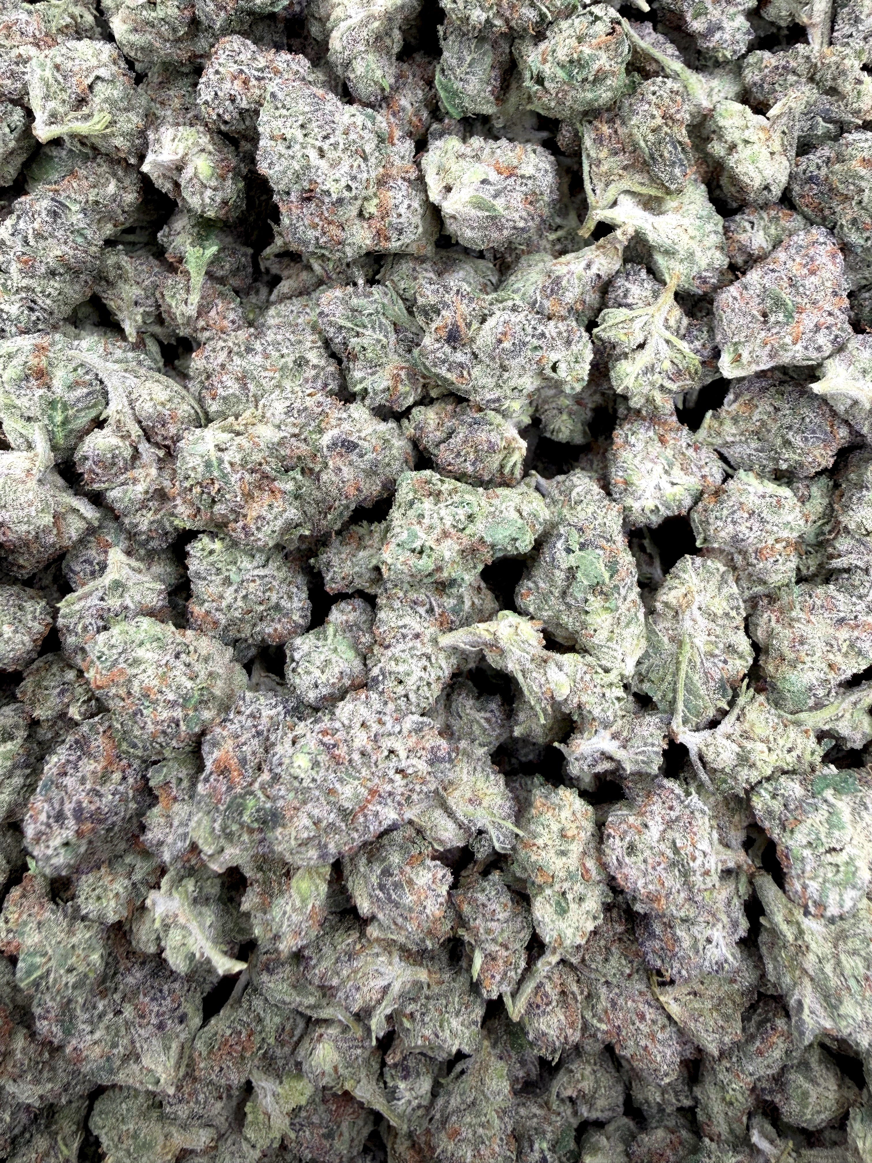 Black Piranha Indoor Smalls THCA flower full current-batch photo