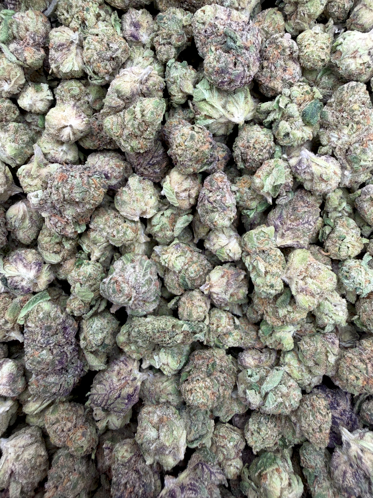 Black Truffle THCA flower full framed lot