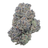 Blue Cookies THCA flower – isolated current-batch bud on white background