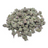 Blue Dream Micros THCA flower isolated current-batch buds