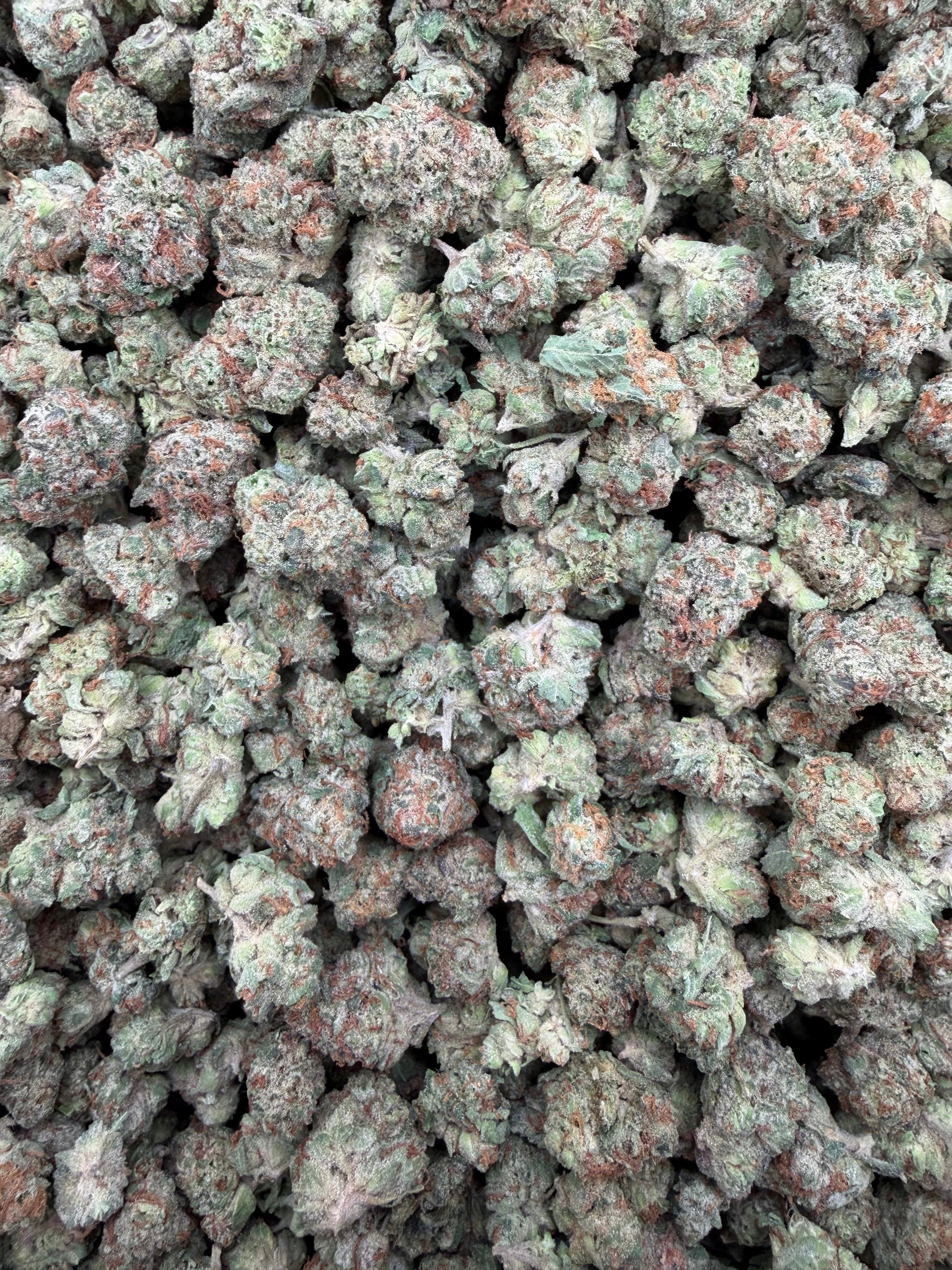Blue Mystic smalls THCA flower - exact current-lot full-frame photo