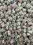 Blue Mystic smalls THCA flower - exact current-lot full-frame photo