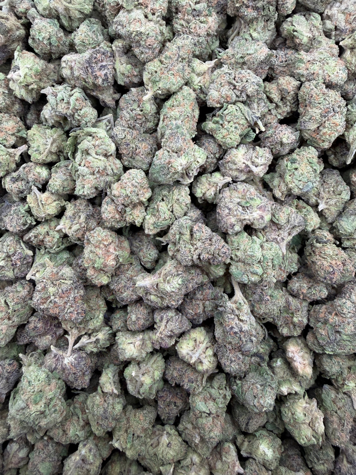 Blue Wookie smalls THCA flower - exact current-lot full-frame photo