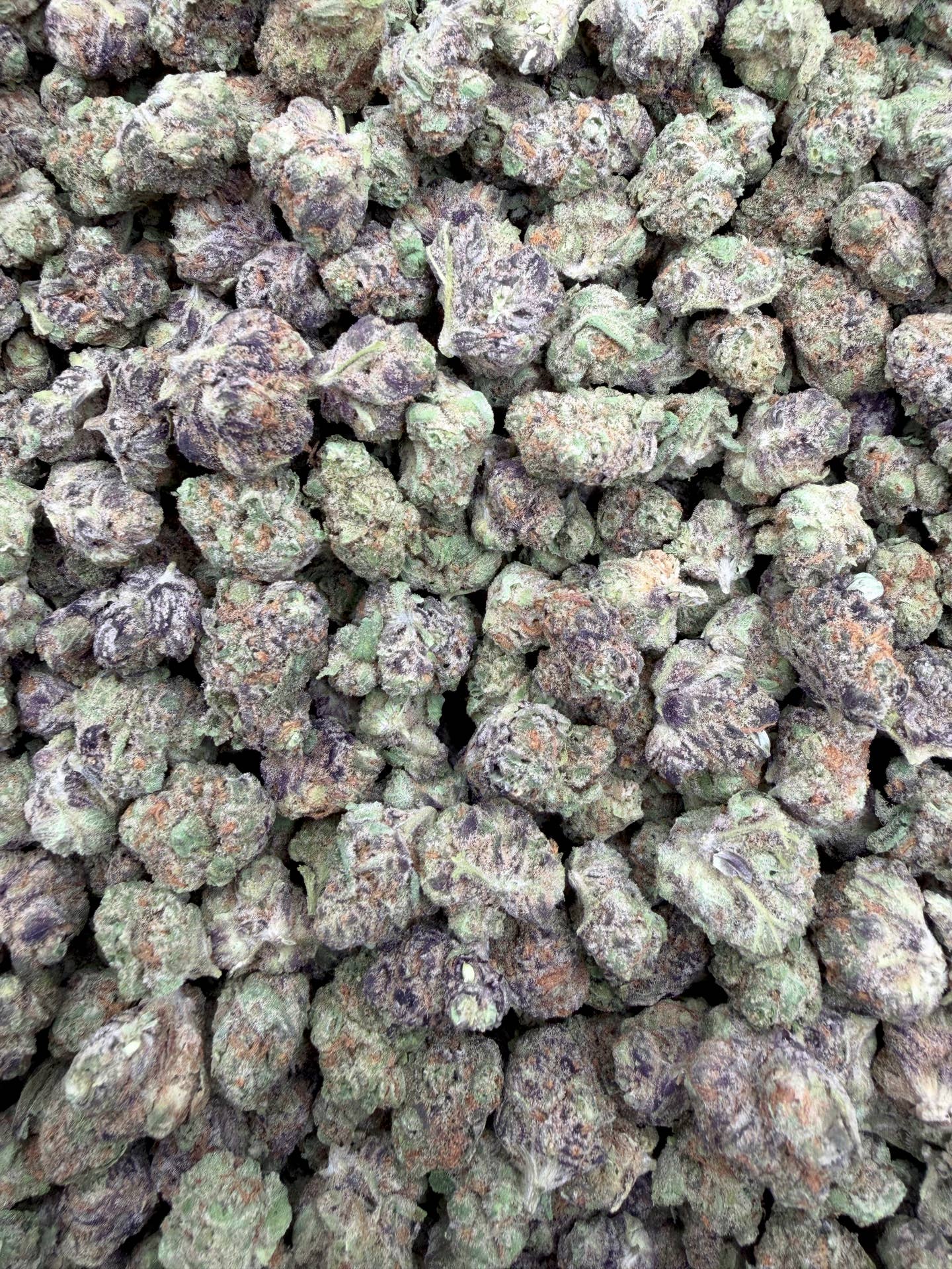 Blueberry Pancake Indoor Smalls THCA flower – close current-batch photo