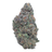 Blueberry Skittlez THCA flower isolated nug