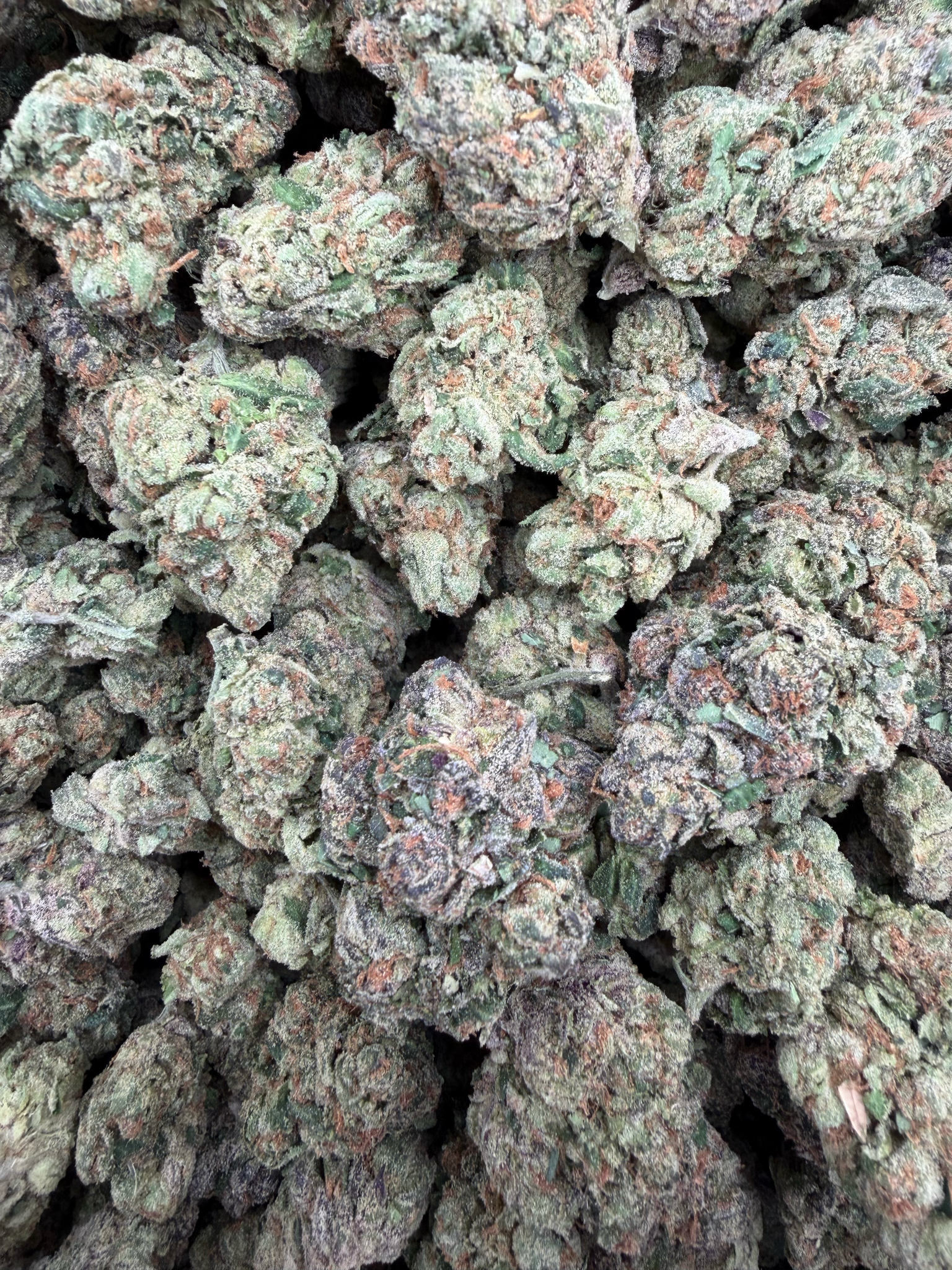 Blueberry Skittlez THCA flower – current full-lot view