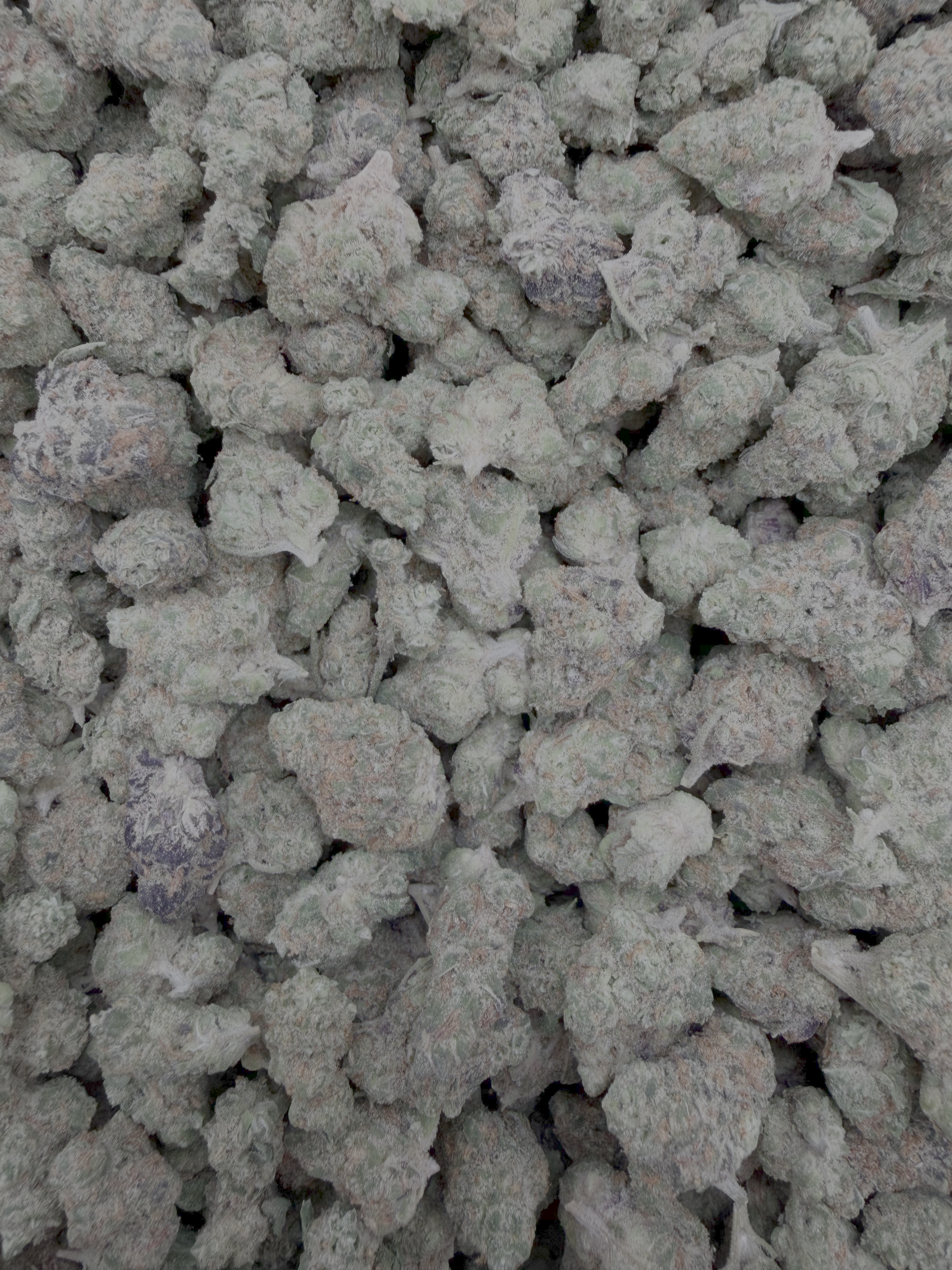 Blueberry Skittlez Indoor Smalls THCA flower – current full-lot view