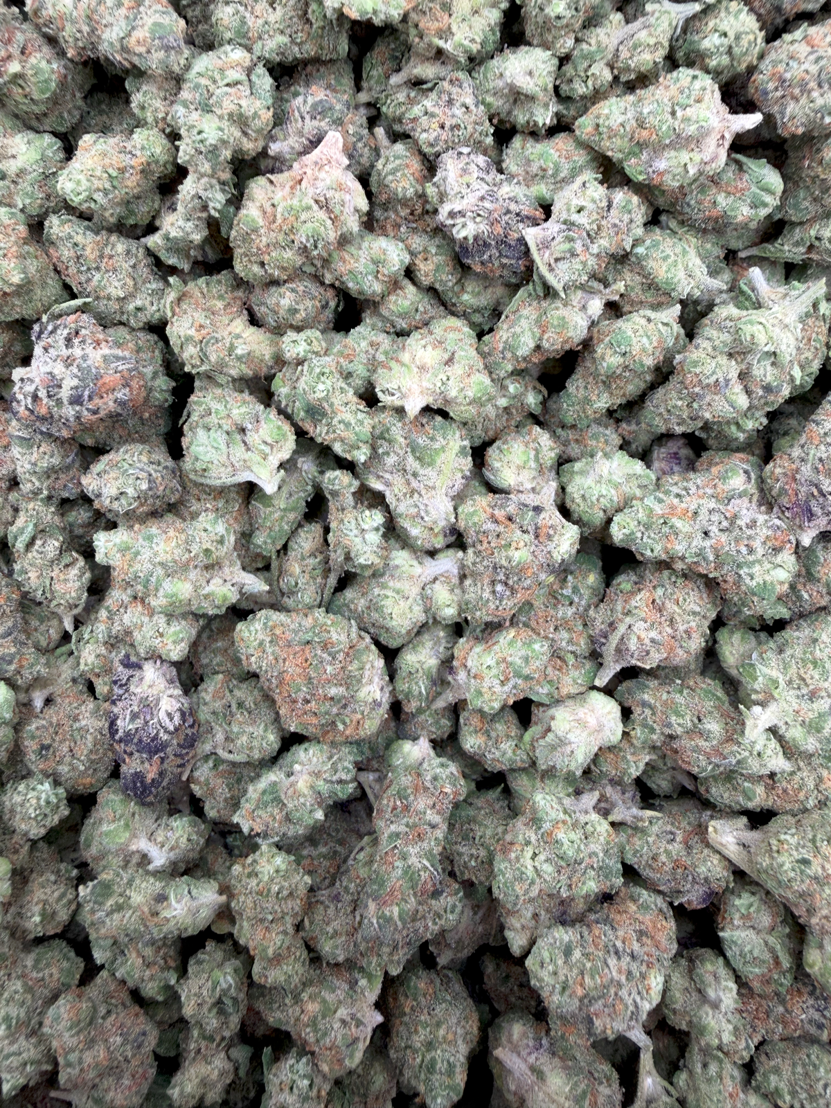 Blueberry Skittlez Indoor Smalls THCA flower – current full-lot view