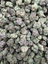 Bolo Runtz Smalls THCA flower – current full-lot view