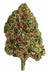 Bubba Kush Hemp Flower