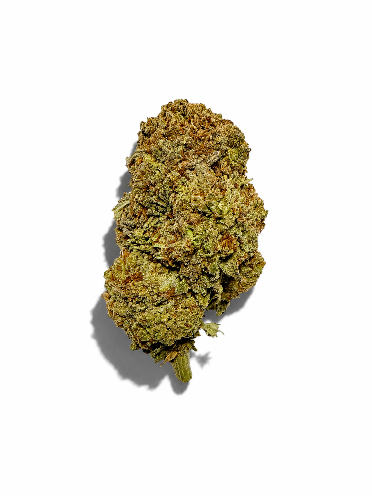 Bubble Gum (Indoor) - THCA Flower