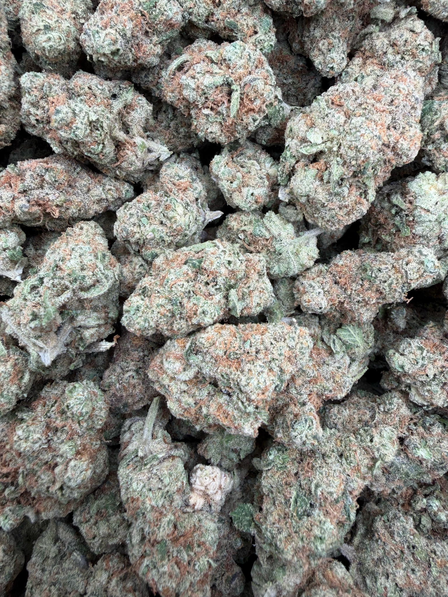 Canal Street Runtz THCA flower – current full-lot view