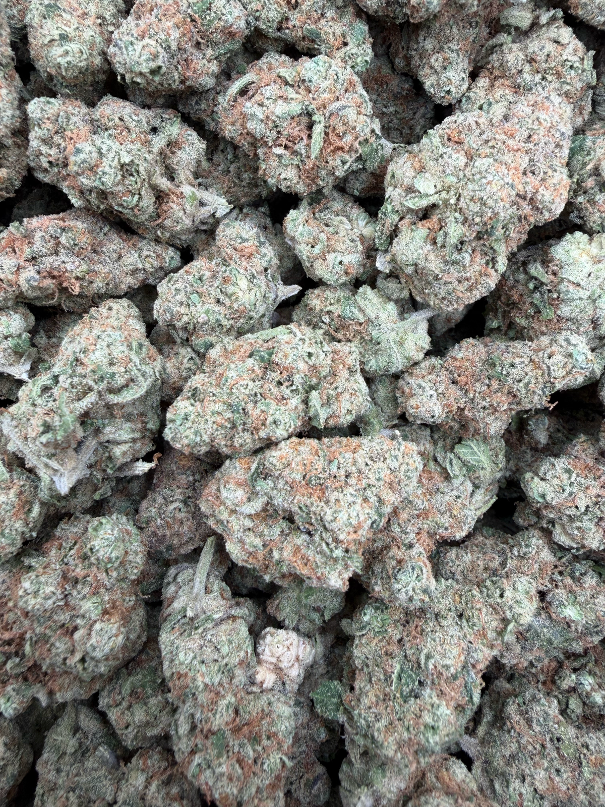 Canal Street Runtz THCA flower – current full-lot view