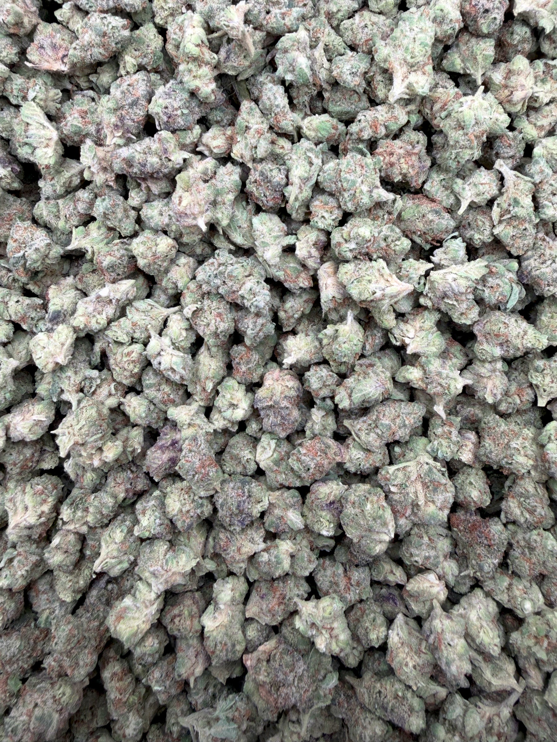 Candy Gas Smalls THCA flower - full current-batch lot photo