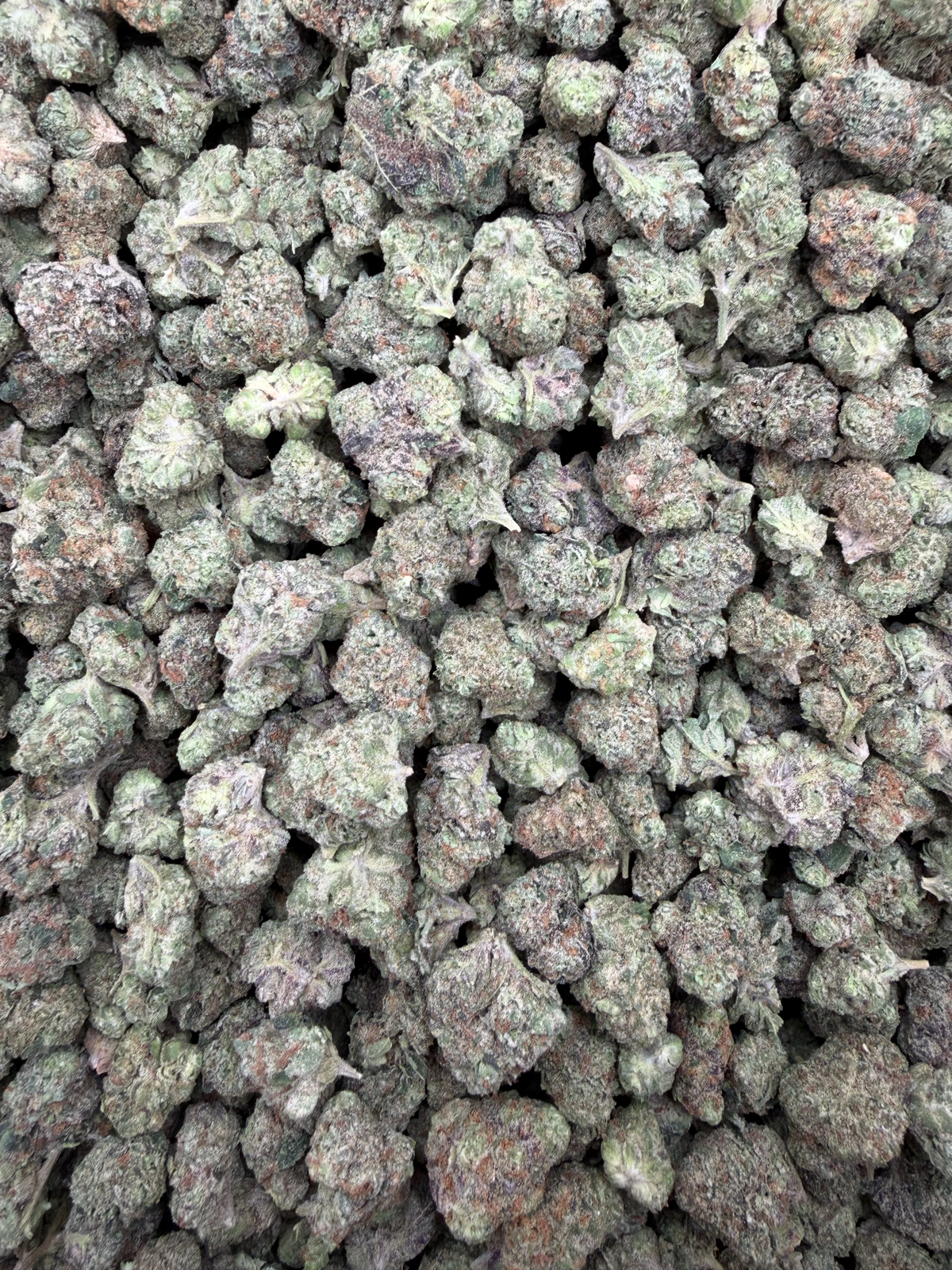 Candy Truffle Indoor Smalls THCA flower – current full-lot view