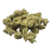 Caviar Runtz Smalls THCA flower - Gabe current-batch small-bud pile on white background