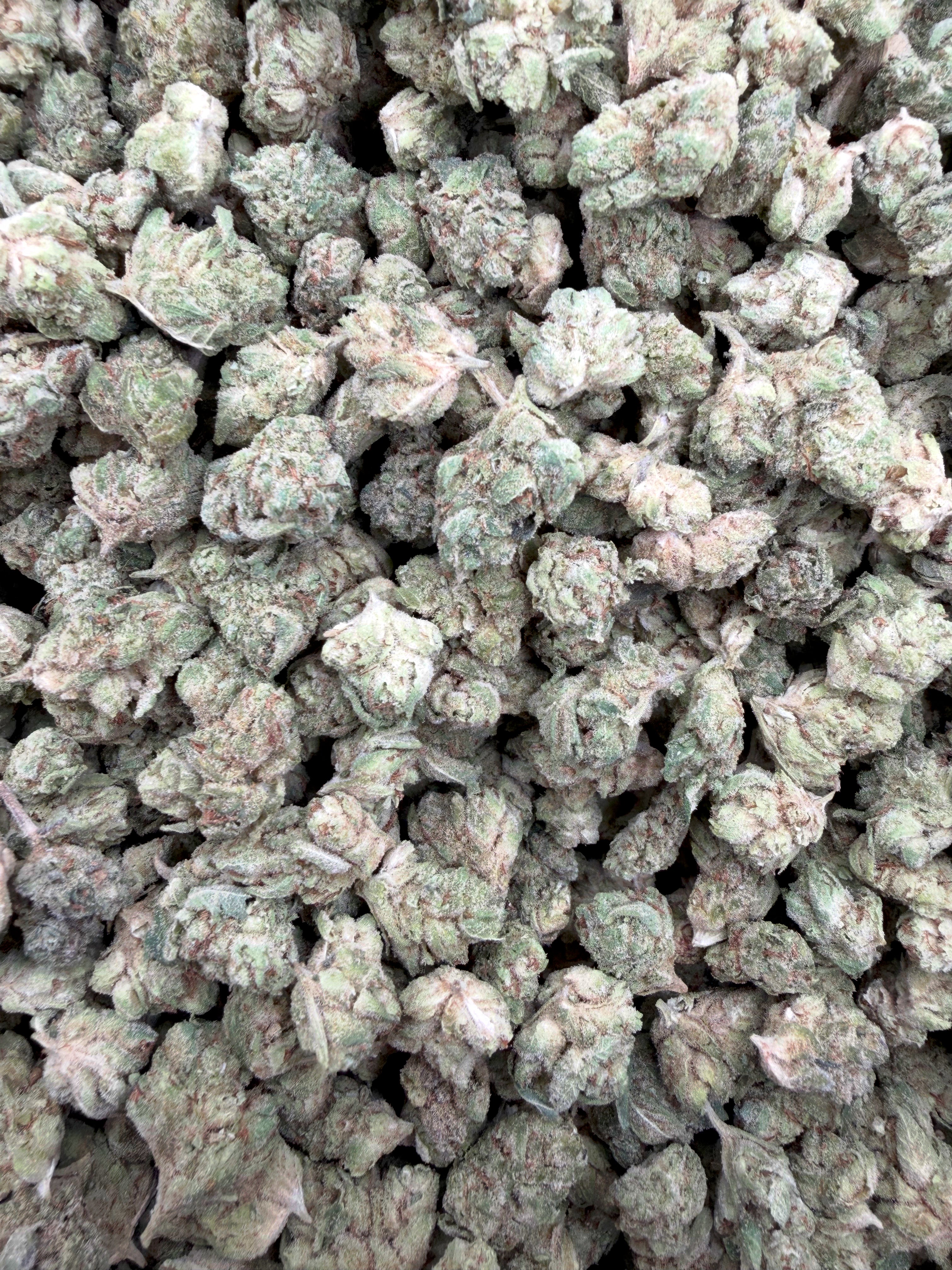 Caviar Runtz Smalls THCA flower - Gabe current-batch small-bud lot close-up