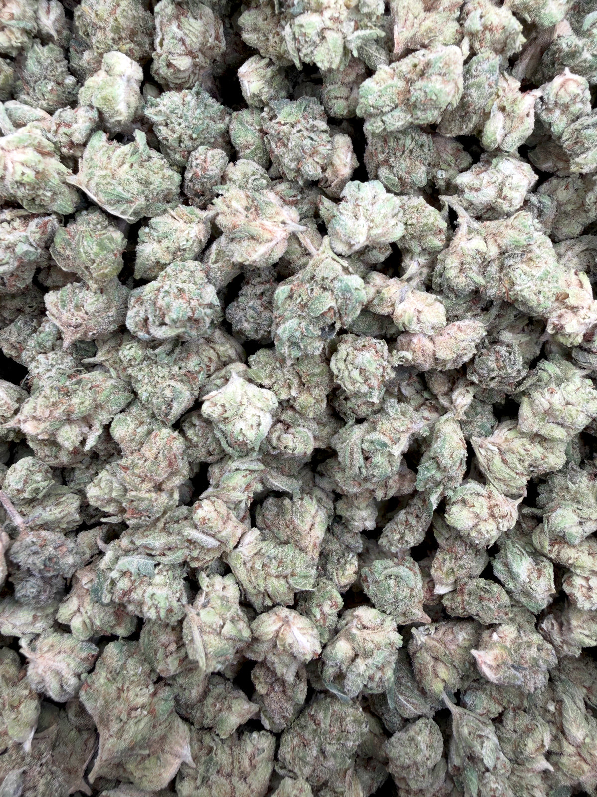 Caviar Runtz Smalls THCA flower - Gabe current-batch small-bud lot close-up