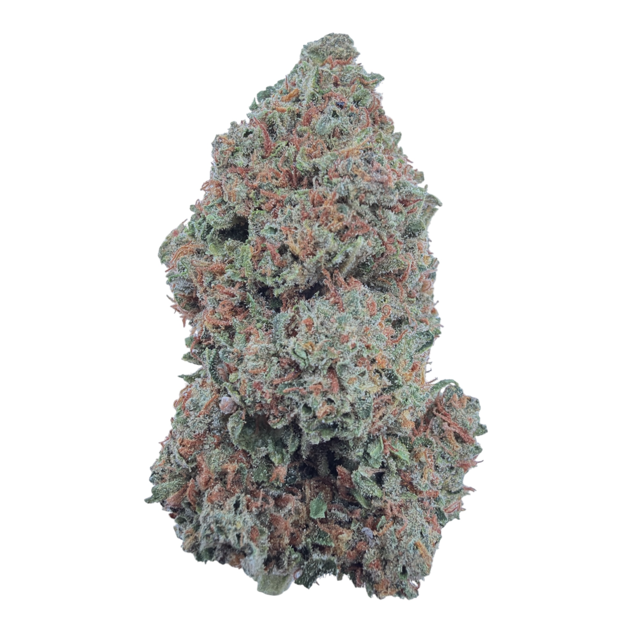 Cherry Slushie THCA flower – isolated current-batch bud on white background