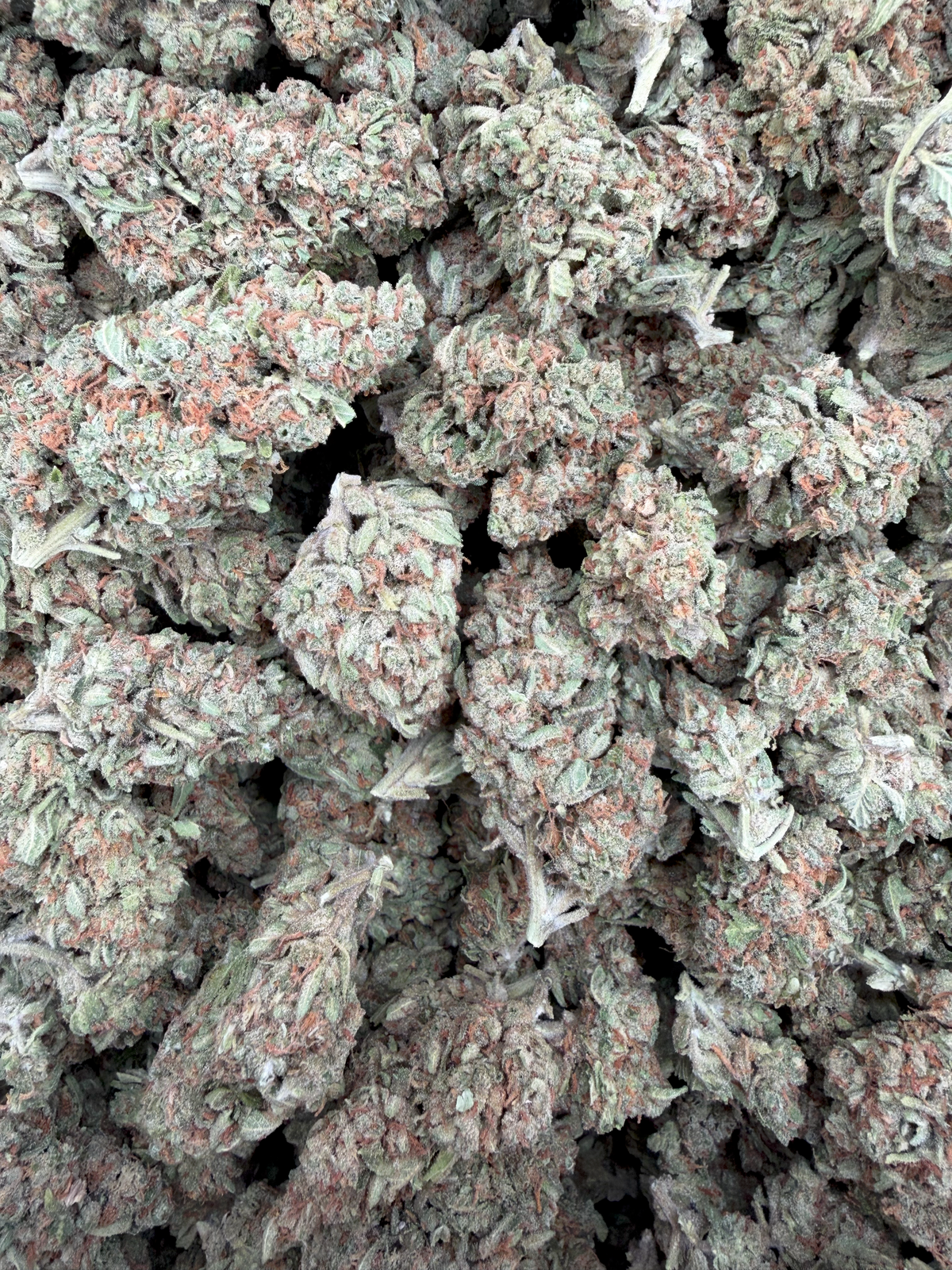 Cherry Slushie THCA flower – current full-lot view